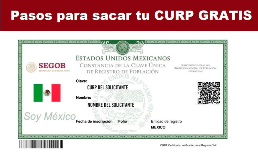 Consulta y Consigue tu CURP con Rapidez desde Casa