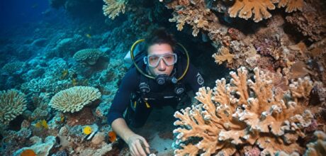 Curiosidades oceânicas: fatos incríveis sobre o mar